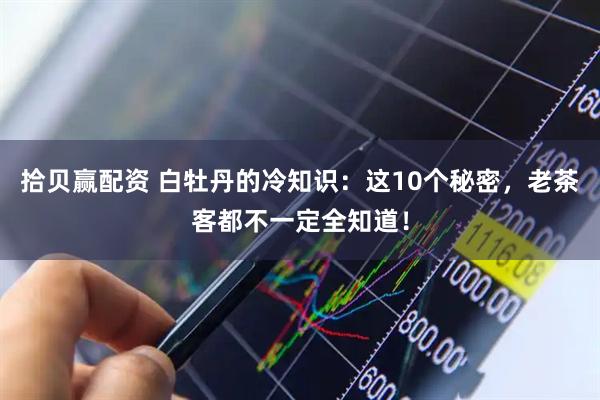 拾贝赢配资 白牡丹的冷知识：这10个秘密，老茶客都不一定全知道！